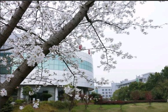 武汉工程大学全日制自考本科
